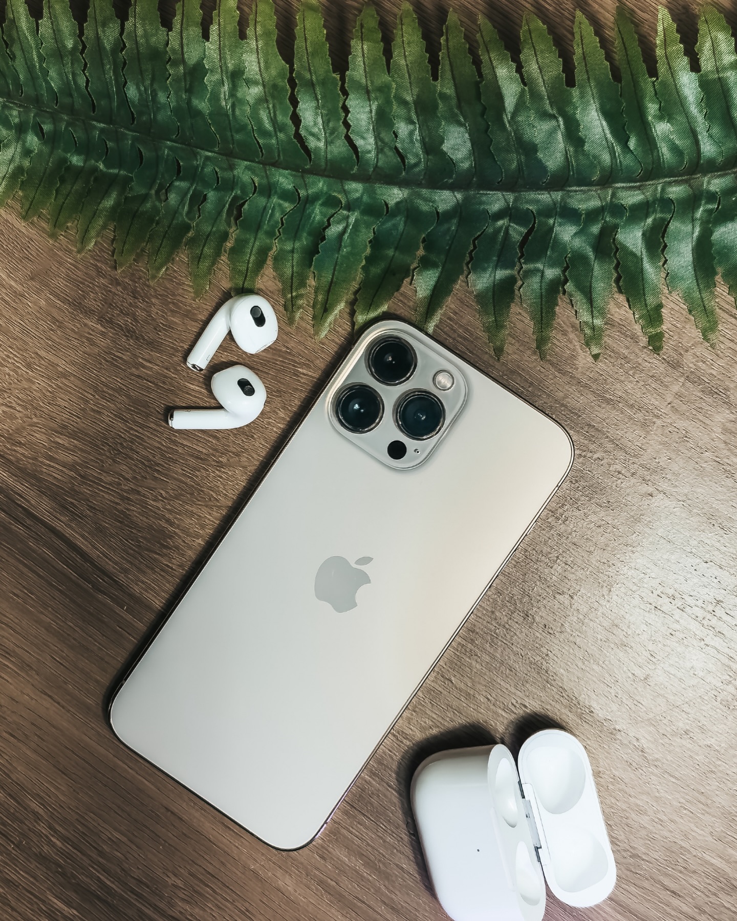 469544537_17982762116782325_6695643151536652450_n